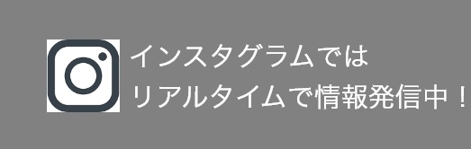 Instagramではリアルタイムで情報発信中！